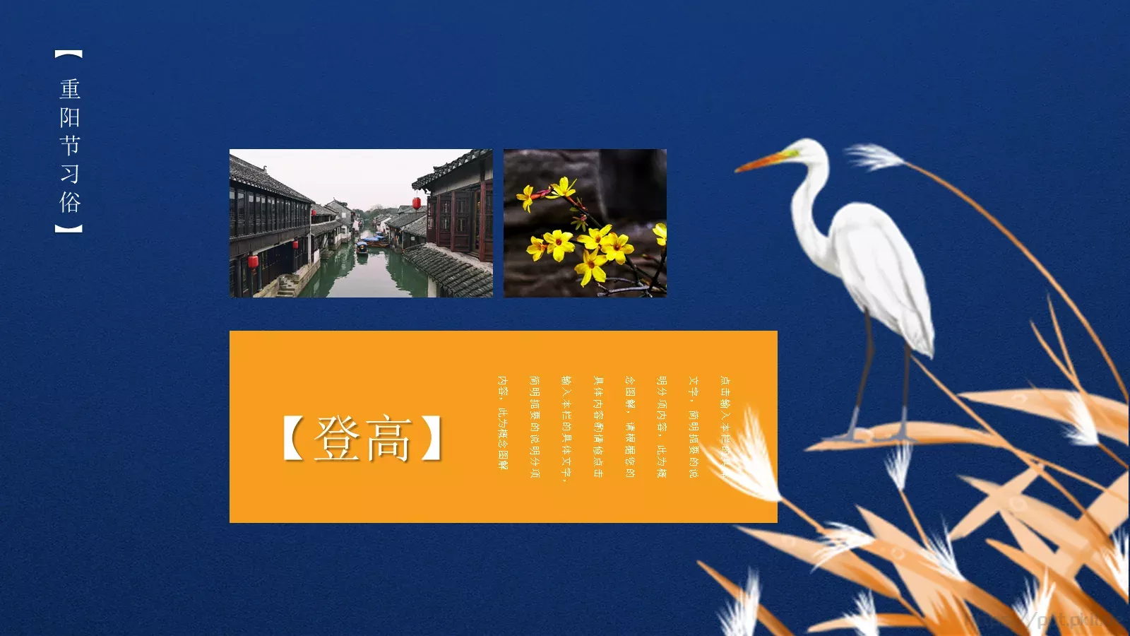 九月初九重阳节PPT模板 第 12 页预览图