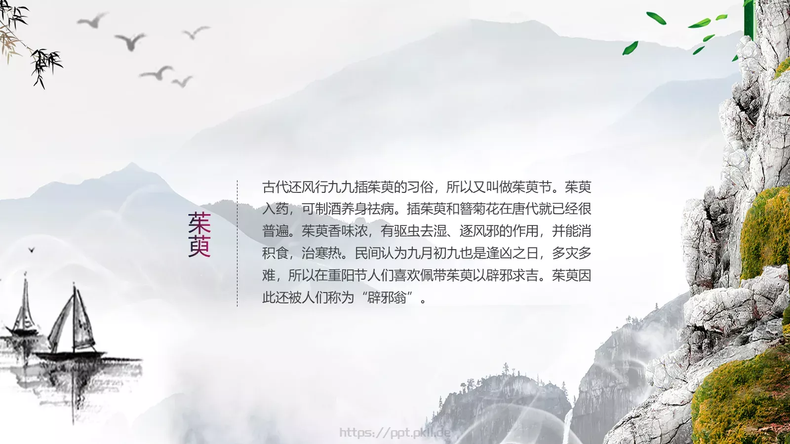 重阳节成品 (14PPT模板 第 9 页预览图