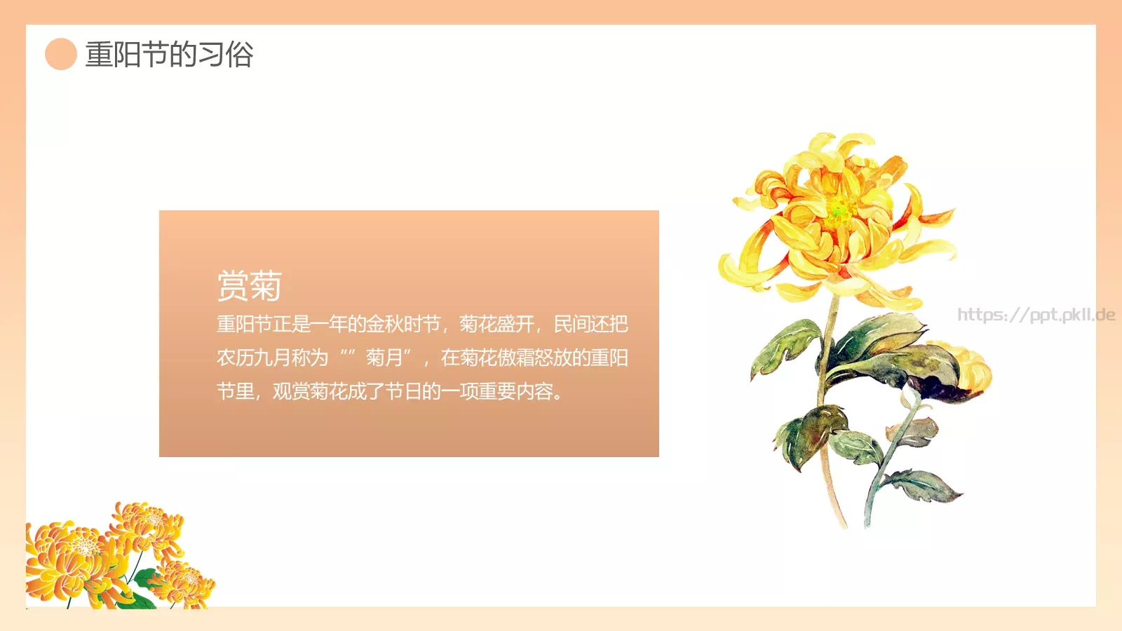 重阳敬老主题班会PPT模板 第 17 页预览图