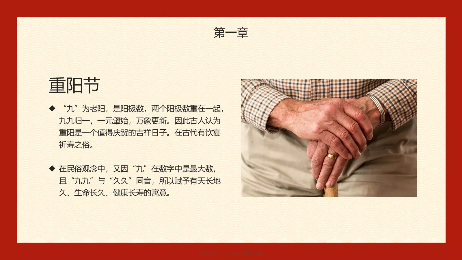 你陪我长大我陪你变老重阳节PPT模板 第 8 页预览图