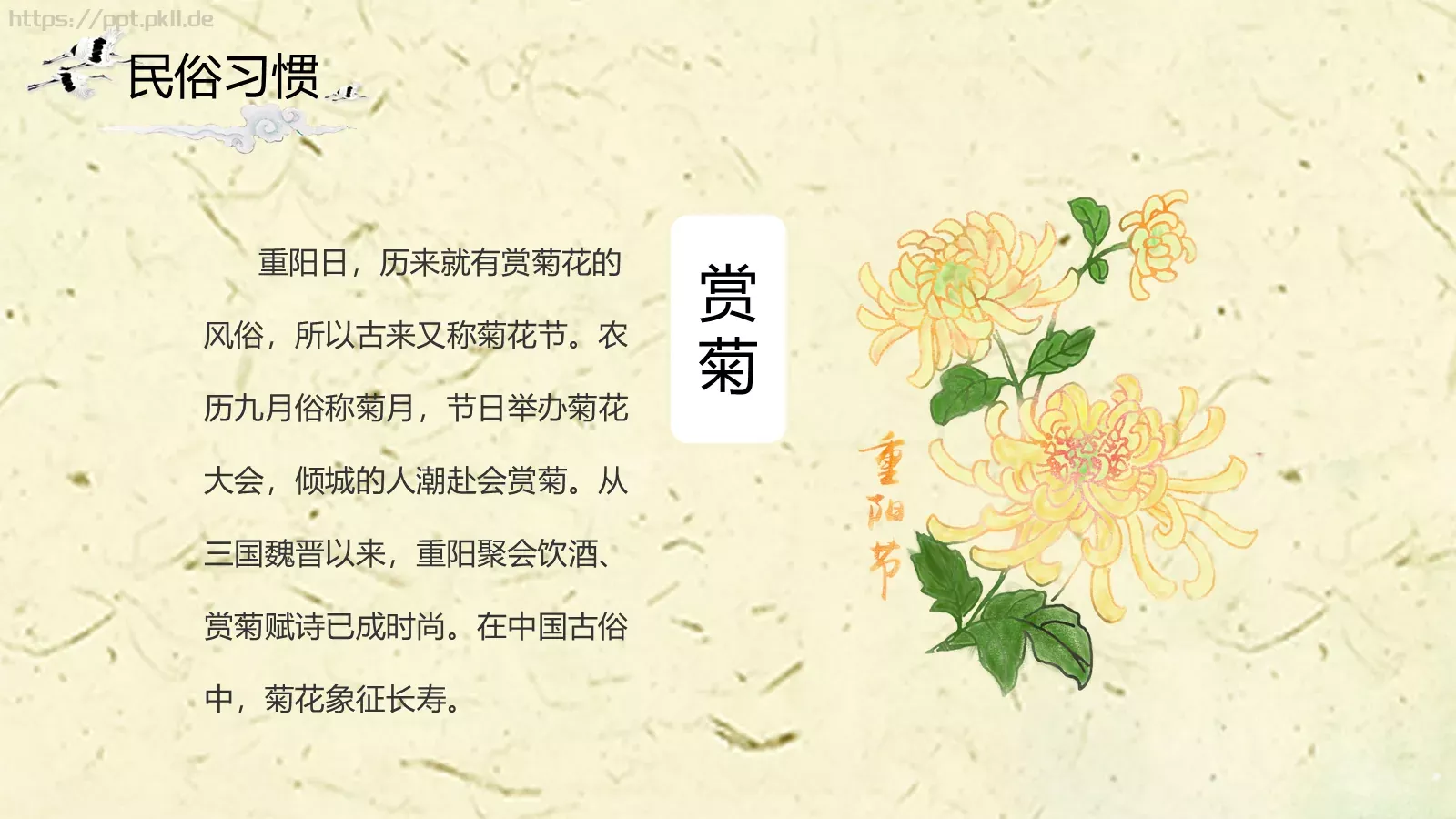 重阳节主题PPT模板 第 16 页预览图
