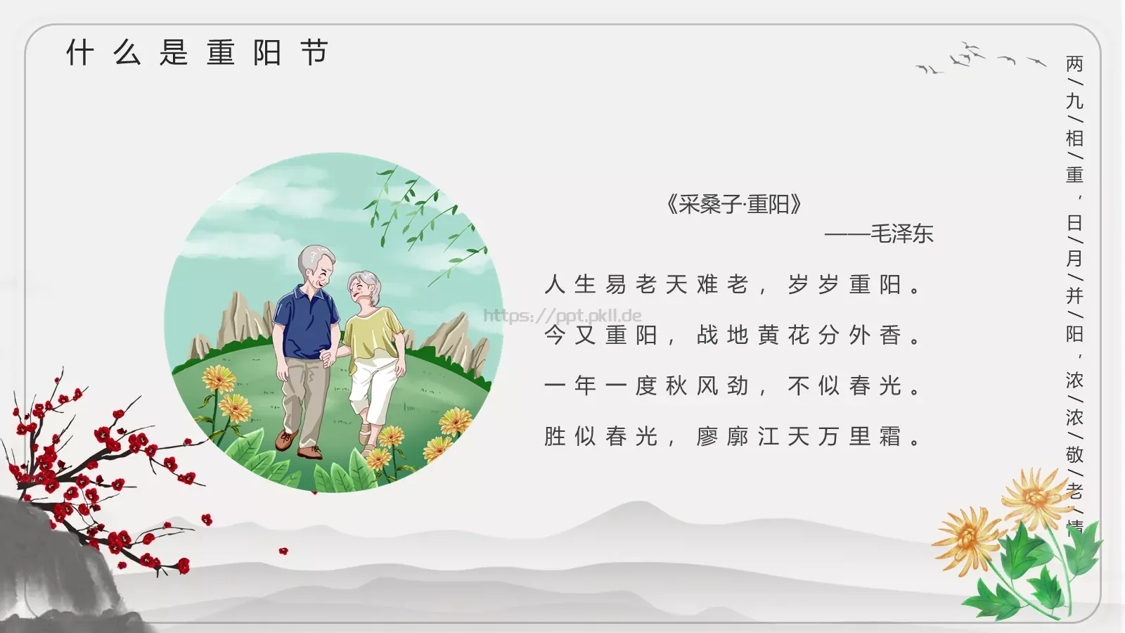 重阳节主题班会PPT模板 第 9 页预览图