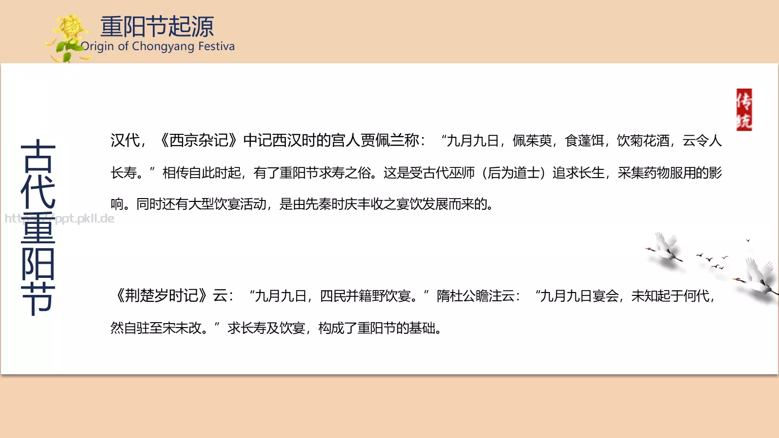 重阳节介绍PPT模板 第 5 页预览图