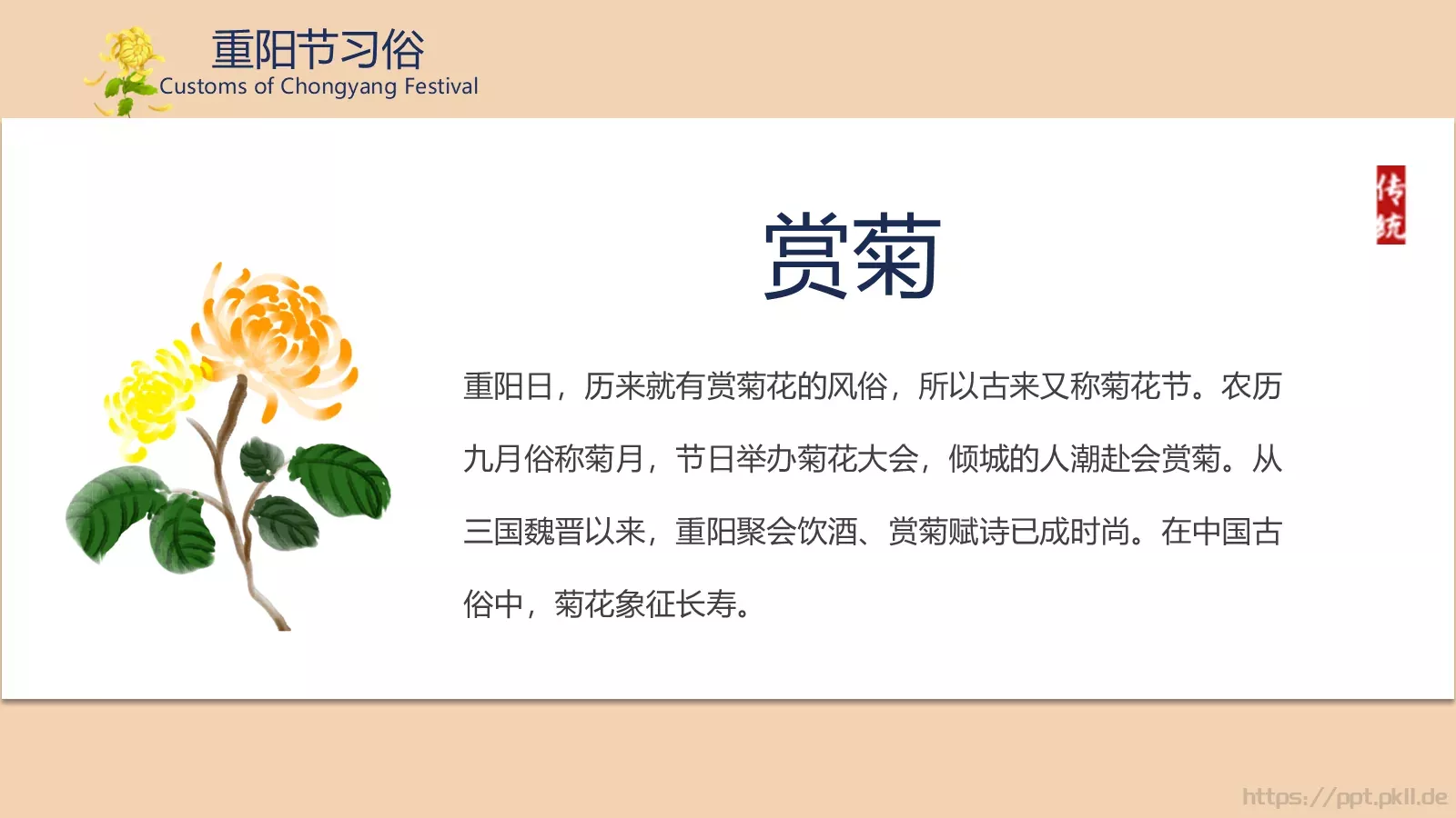 重阳节介绍PPT模板 第 10 页预览图
