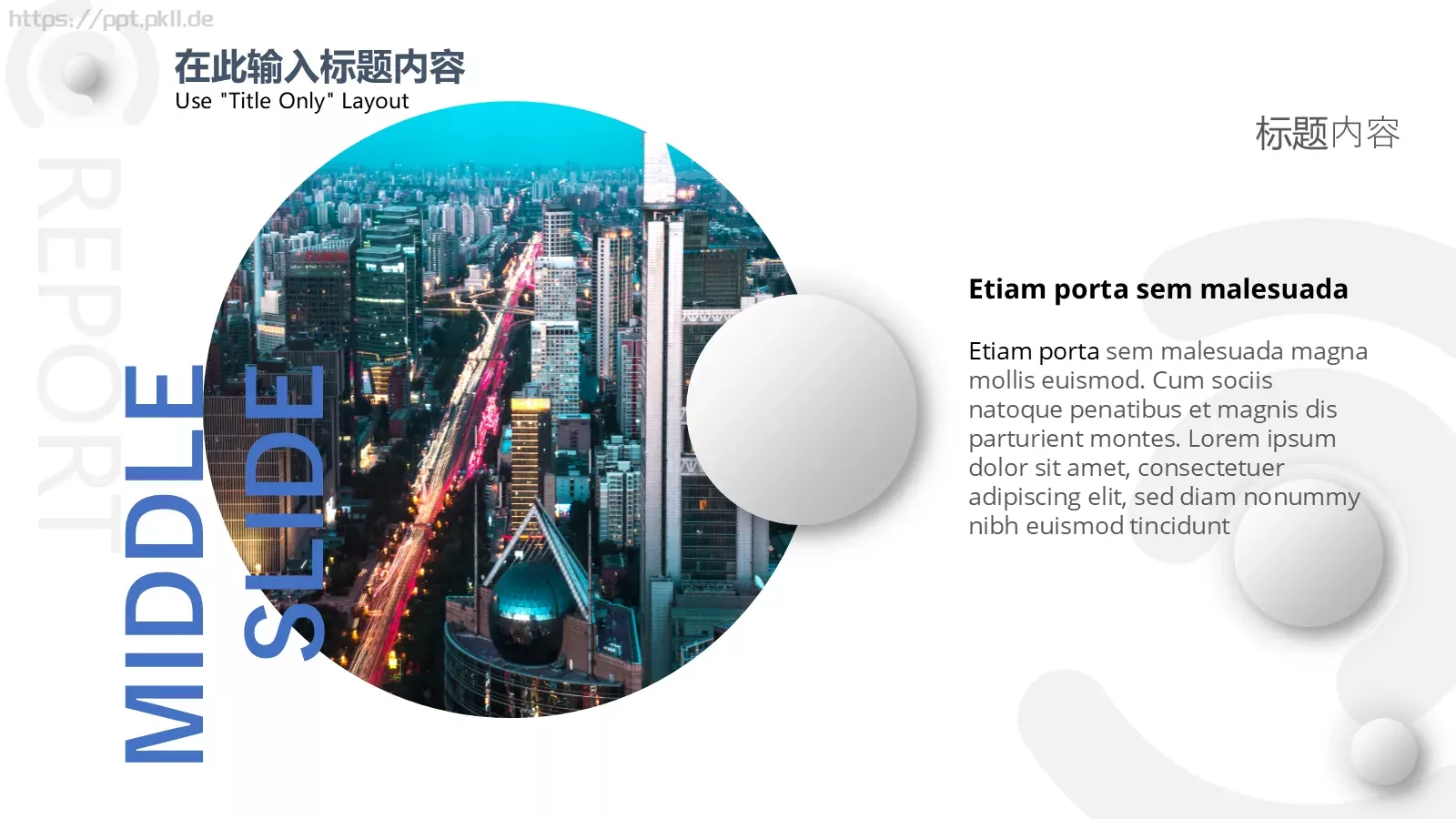 项目管理方案PPT模板 第 6 页预览图